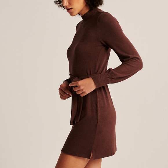 Long Sleeve Cozy Belted Mini Dress 